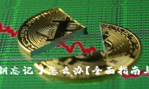 TP钱包密钥忘记了怎么办?全面指南与解决方案