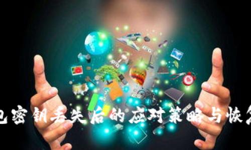 TP钱包密钥丢失后的应对策略与恢复方法