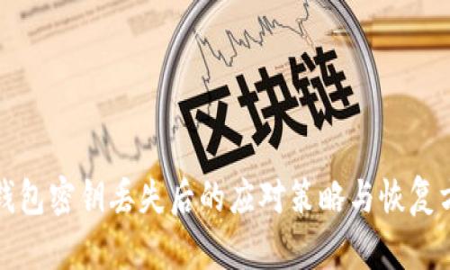 TP钱包密钥丢失后的应对策略与恢复方法