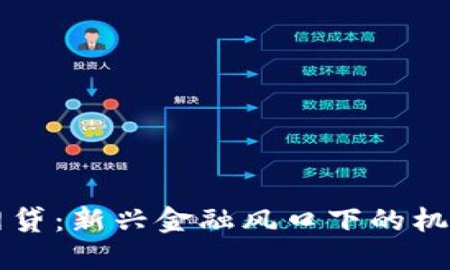 虚拟币网贷:新兴金融风口下的机遇与挑战