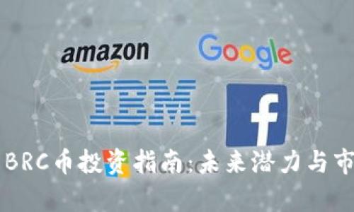 虚拟币BRC币投资指南:未来潜力与市场分析