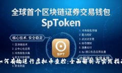 如何有效进行虚拟币查控：全面解析与
