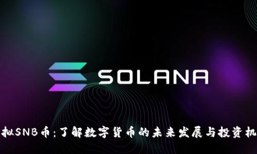 虚拟SNB币:了解数字货币的未来发展与投资机会