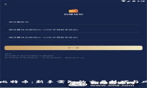 虚拟炒比特币:新手需知的交易技巧与风险解析