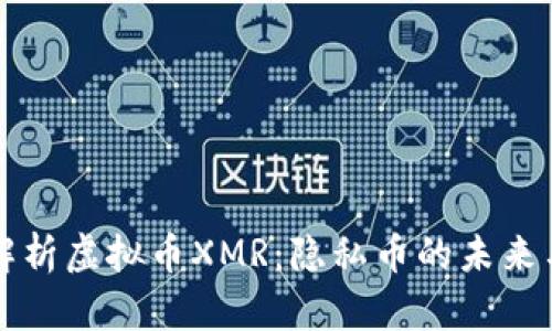 深入解析虚拟币XMR:隐私币的未来与挑战