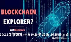 2022年虚拟币小币种投资指南，挖掘潜