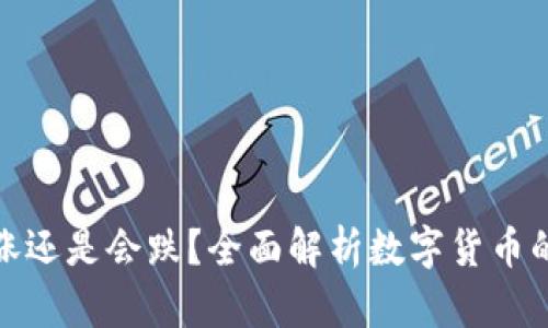 TP钱包里的币会涨还是会跌?全面解析数字货币的投资风险与机遇