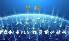 深入了解虚拟币PLS：投资前必读的关键