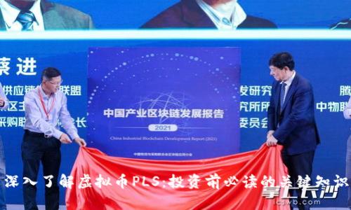 深入了解虚拟币PLS:投资前必读的关键知识