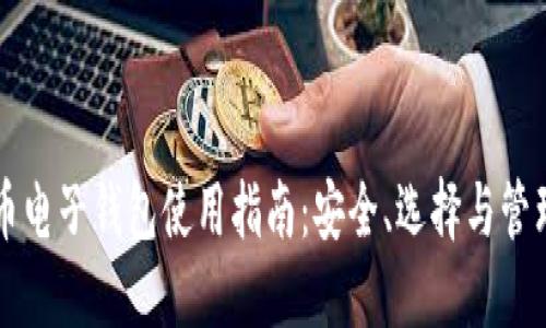 虚拟币电子钱包使用指南:安全、选择与管理技巧