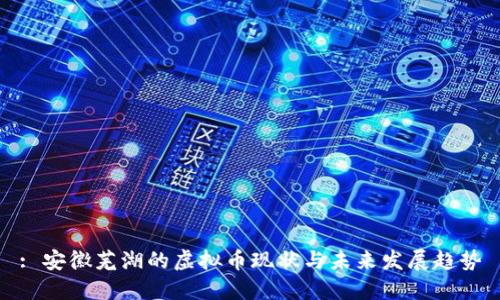 : 安徽芜湖的虚拟币现状与未来发展趋势