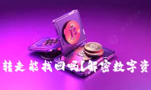 TP钱包币被转走能找回吗?解密数字资产安全问题