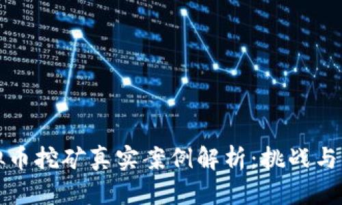 虚拟币挖矿真实案例解析:挑战与机遇