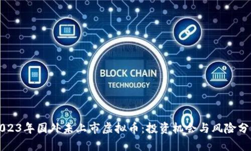 2023年国外未上市虚拟币:投资机会与风险分析