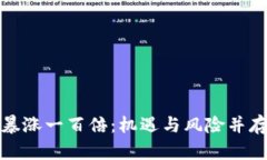 今日虚拟币暴涨一百倍：机遇与风险并