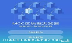DIS虚拟币全面解析：投资前必了解的一