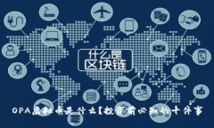 OPA虚拟币是什么？投资前必知的十件事
