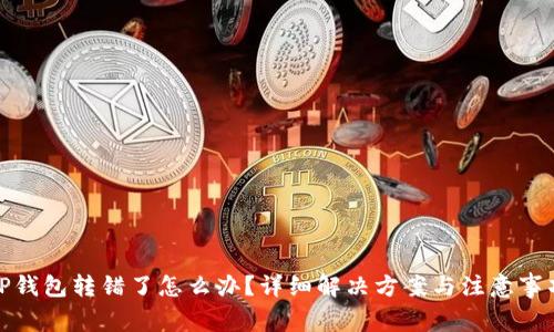 TP钱包转错了怎么办?详细解决方案与注意事项