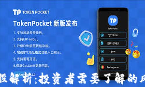 虚拟币ST股解析:投资者需要了解的风险与机会