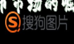  菲律宾虚拟币市场的崛起与未来展望