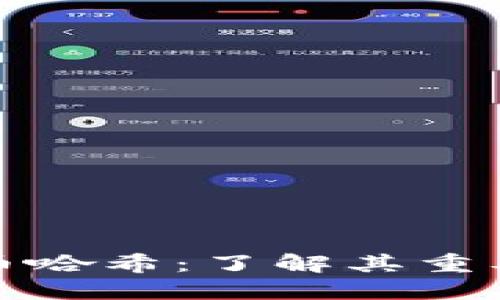解密虚拟币哈希:了解其重要性与影响