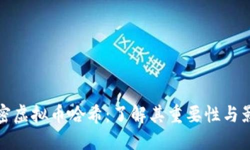 解密虚拟币哈希:了解其重要性与影响