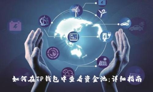 如何在TP钱包中查看资金池:详细指南