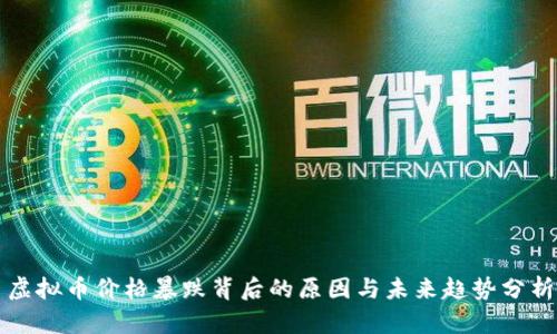 虚拟币价格暴跌背后的原因与未来趋势分析
