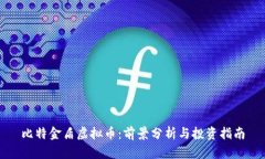 比特金盾虚拟币：前景分析与投资指南