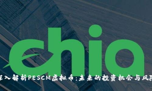 深入解析PESCM虚拟币:未来的投资机会与风险