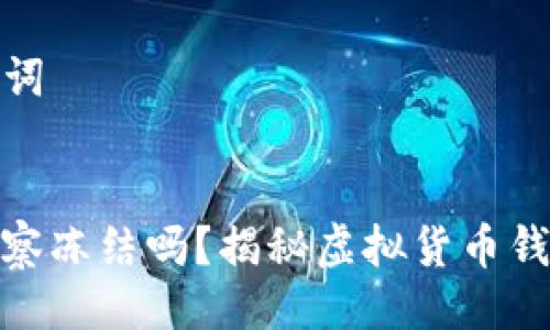### 与关键词
TP钱包会被警察冻结吗?揭秘虚拟货币钱包的法律风险