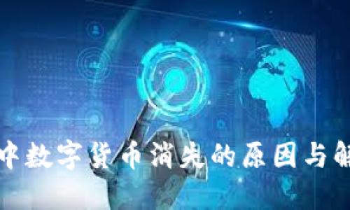 TP钱包中数字货币消失的原因与解决方案