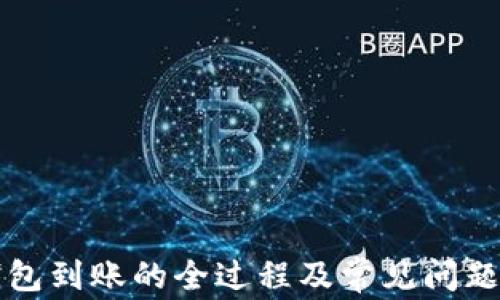 TP钱包到账的全过程及常见问题解析