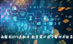 全面解析HYB虚拟币：投资前必须了解的
