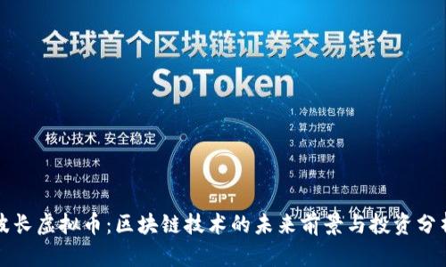 波长虚拟币:区块链技术的未来前景与投资分析