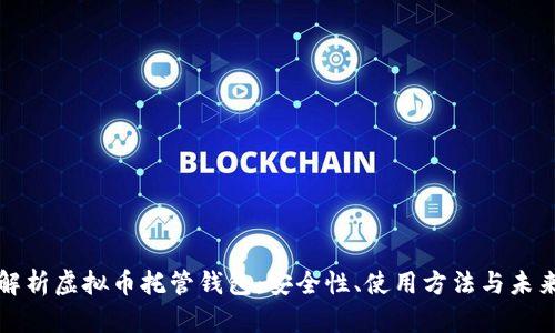 全面解析虚拟币托管钱包:安全性、使用方法与未来发展