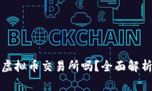 警察可以查虚拟币交易所吗?全面解析监管与法律