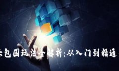 虚拟币大包围玩法全解析：从入门到精