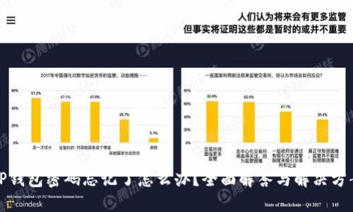 TP钱包密码忘记了怎么办?全面解答与解决方案