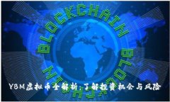 YBM虚拟币全解析：了解投资机会与风险
