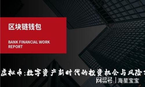 SOJ虚拟币:数字资产新时代的投资机会与风险分析