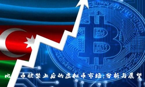 比特币被禁止后的虚拟币市场:分析与展望