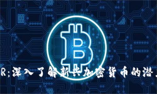 虚拟币HR:深入了解新兴加密货币的潜力与风险