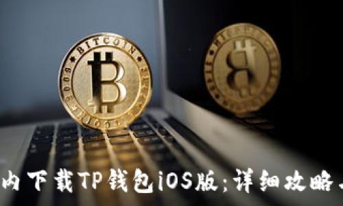 如何在国内下载TP钱包iOS版:详细攻略与注意事项