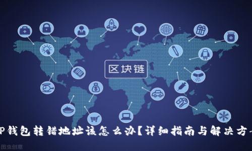 TP钱包转错地址该怎么办?详细指南与解决方案