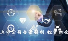 美国虚拟币上市公司全景解析：投资机