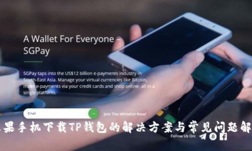 苹果手机下载TP钱包的解决方案与常见问题解析