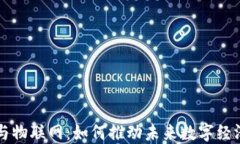 虚拟币与物联网：如何推动未来数字经