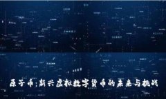 原子币：新兴虚拟数字货币的未来与挑