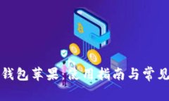 tpwallet钱包苹果：使用指南与常见问题